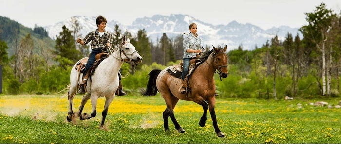 Confident plus-size woman riding Abingdon a horse through a field with a smile on her face.